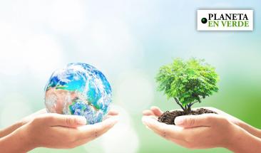 D&iacute;a Mundial del Medio Ambiente 2024: un compromiso con el planeta