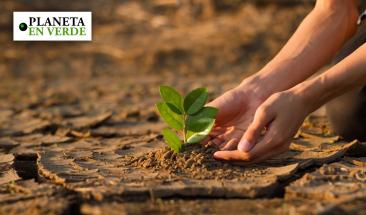 Es altamente probable que el calentamiento global supere el l&iacute;mite de 1.5&deg;C entre 2024 y 2028