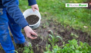 Los microorganismos pueden ser alternativas sostenibles para promover la producci&oacute;n