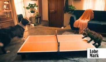 Betsson y The Juju presentan &ldquo;Apostamos que te divertir&aacute;s&rdquo;