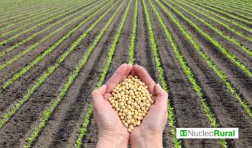 Rusia declara emergencia agr&iacute;cola en diez regiones