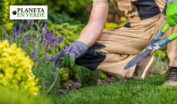 C&oacute;mo crear un jard&iacute;n sustentable en tu hogar