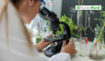 Cient&iacute;ficos desarrollan nanopart&iacute;culas a partir de plantas nativas para combatir plagas