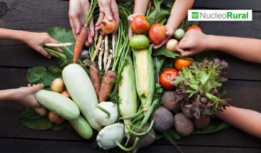 Gastronom&iacute;a sostenible: alimentaci&oacute;n consiente y responsable con el medioambiente