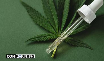 Sanidad regular&aacute; el cannabis medicinal: 9 de cada 10 espa&ntilde;oles est&aacute;n a favor de esta medida