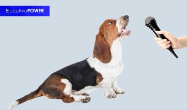 La inteligencia artificial ya puede identificar las emociones de los perros