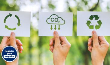 Claves para crear empresas l&iacute;deres en la lucha contra el cambio clim&aacute;tico