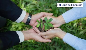 Cinco claves para que las empresas logren un impacto medioambiental positivo