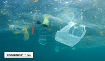 Hongo marino es capaz de degradar el pl&aacute;stico de los oc&eacute;anos