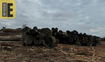 Gobierno peruano lidera una comisi&oacute;n contra la tala ilegal