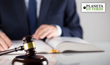 ALTO M&eacute;xico: denunciar los delitos reduce el robo en tiendas departamentales