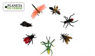 La disminuci&oacute;n global de insectos podr&iacute;a tener consecuencias irreversibles