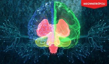 China establece comit&eacute; para desarrollo de est&aacute;ndares en interfaz cerebro-computadora