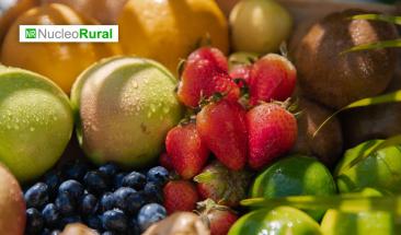 Brasil lidera la producci&oacute;n y exportaci&oacute;n de frutas en Latinoam&eacute;rica