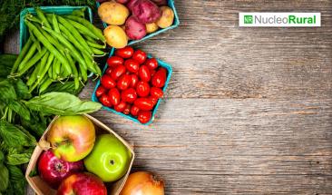 Crece el mercado global de frutas y hortalizas