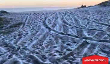 Mariscadero: playa chilena congelada por ola de fr&iacute;o extrema