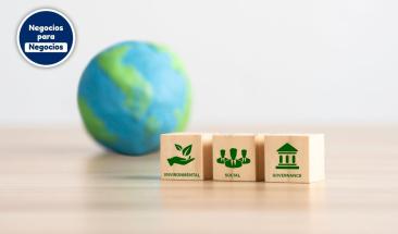 Heineken Espa&ntilde;a presenta avances con la sostenibilidad