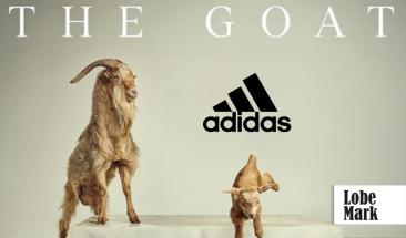 Adidas: la marca que domin&oacute; la Eurocopa y la Copa Am&eacute;rica 2024