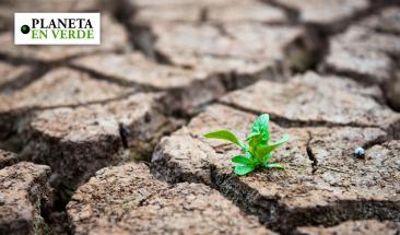 Banco Mundial planea crear su primer bono para la sequ&iacute;a