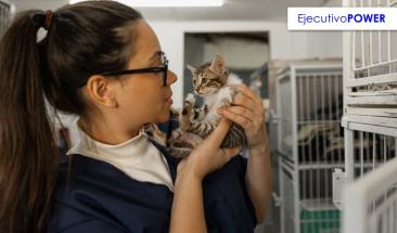 Gu&iacute;a completa para la adopci&oacute;n responsable de tu compa&ntilde;ero felino