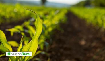 Los grandes desaf&iacute;os de la agricultura