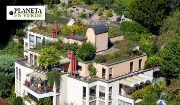 Los techos verdes est&aacute;n transformando las ciudades