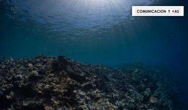 Descubren que el oc&eacute;ano profundo produce su propio ox&iacute;geno