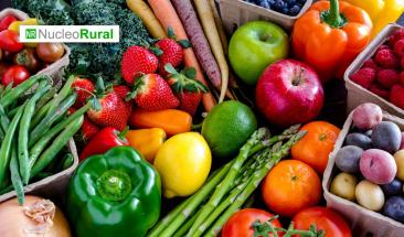 Comercio transparente y cooperaci&oacute;n agr&iacute;cola claves para la seguridad alimentaria