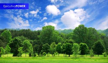 Los robles longevos capturan CO2 y producen m&aacute;s madera eficazmente