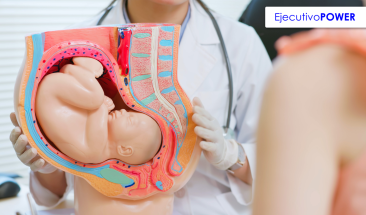 Desarrollan &uacute;tero artificial para salvar a beb&eacute;s prematuros