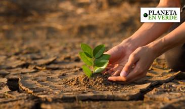 La triple crisis planetaria amenaza la estabilidad ambiental global