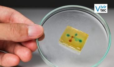 Rob&oacute;tica comestible: un paso para nuevas aplicaciones tecnol&oacute;gicas