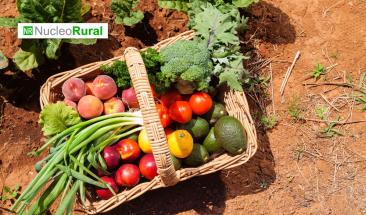 Venta de productos org&aacute;nicos en EE. UU. creci&oacute; 5.8%