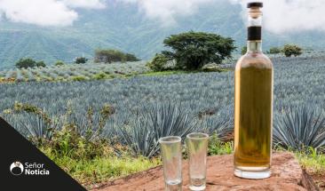 El tequila: un s&iacute;mbolo cultural y econ&oacute;mico de M&eacute;xico