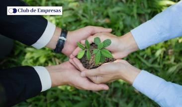 La sostenibilidad se convierte en prioridad estrat&eacute;gica para empresas