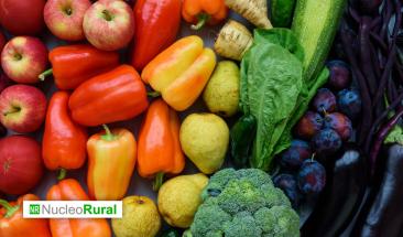 Estados Unidos lidera la compra de alimentos agr&iacute;colas mexicanos