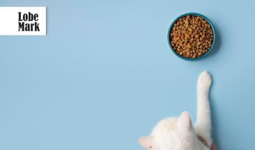 Sheba lanza nueva y divertida campa&ntilde;a de alimentos para gatos