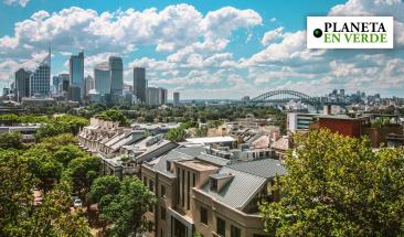 La importancia de la biodiversidad en las ciudades