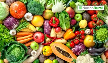 Desaf&iacute;os agr&iacute;colas globales impactan la seguridad alimentaria