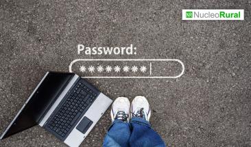 E-commerce: C&oacute;mo fortalecer las transacciones online a trav&eacute;s de las pasarelas de pago