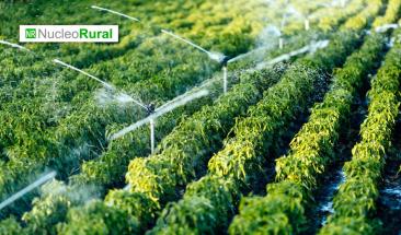 Tecnolog&iacute;as para reducir el consumo h&iacute;drico en la agricultura