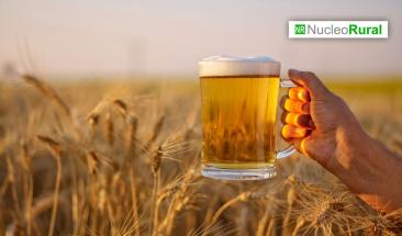 M&eacute;xico es el segundo mayor exportador de alimentos en Latinoam&eacute;rica