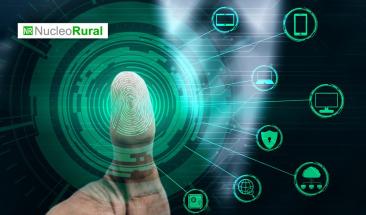 B2B: cinco claves para dise&ntilde;ar y aplicar estrategias digitales en un eCommerce