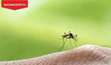 El virus Oropouche preocupa a cient&iacute;ficos tras primeras muertes confirmadas