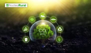 China implementa etiquetas de carbono para reducir emisiones agr&iacute;colas