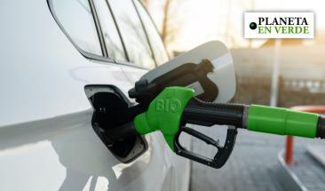 Biocombustibles de aceite usado enfrentan dudas sobre sostenibilidad