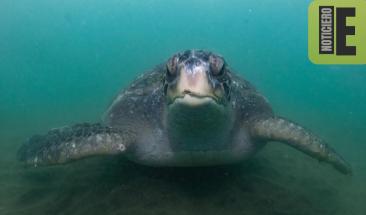 La Reserva Nacional Mar Tropical de Grau se luce en uno de los medios m&aacute;s importantes de Estados Unidos