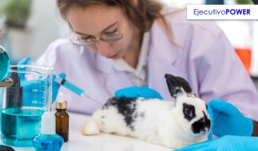 Avon certifica sus l&iacute;neas cosm&eacute;ticas con el sello Leaping Bunny