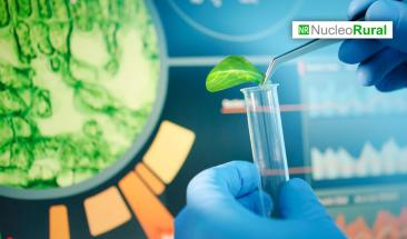 El sector de bioinsumos se convierte en un mercado lucrativo