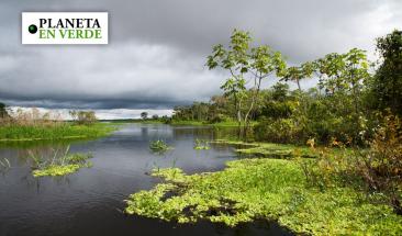 R&iacute;os en Per&uacute; presentan altos niveles de contaminantes peligrosos
